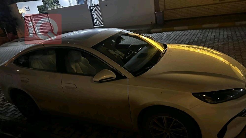 بي واي دي سيل 06 DM-i